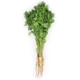 Μαϊντανός με κομμένα φύλλα, νέος φρέσκος ΒΙΟ (πολωνικός) (περίπου 200g)